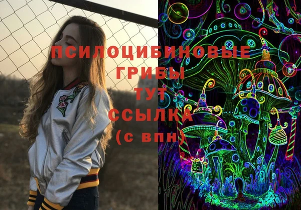 хмурый Верея