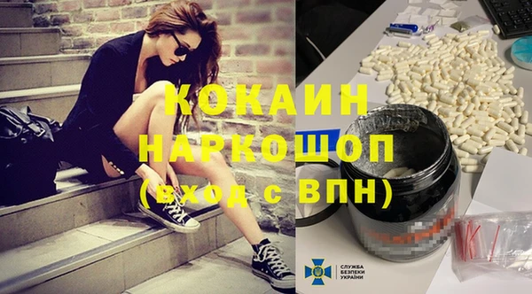 хмурый Верея