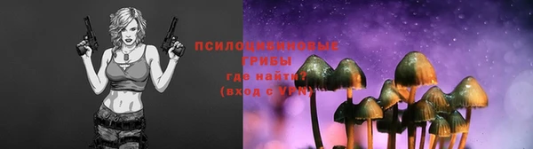 МДПВ Верхний Тагил