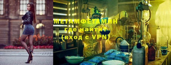 прущие крисы Бородино