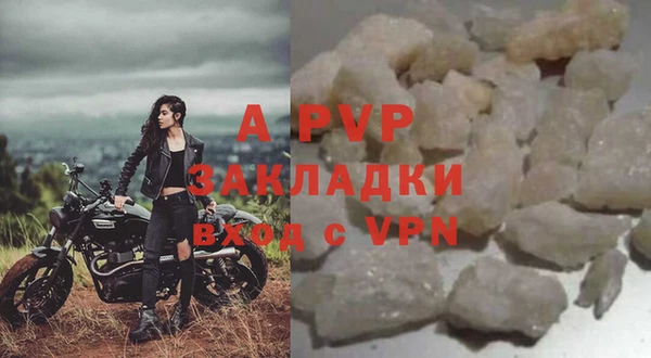 хмурый Верея